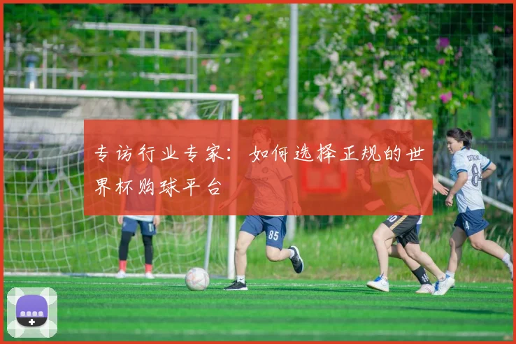 专访行业专家：如何选择正规的世界杯购球平台