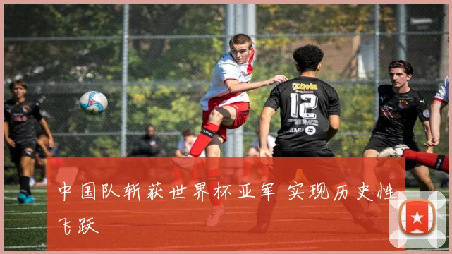 中国队斩获世界杯亚军 实现历史性飞跃