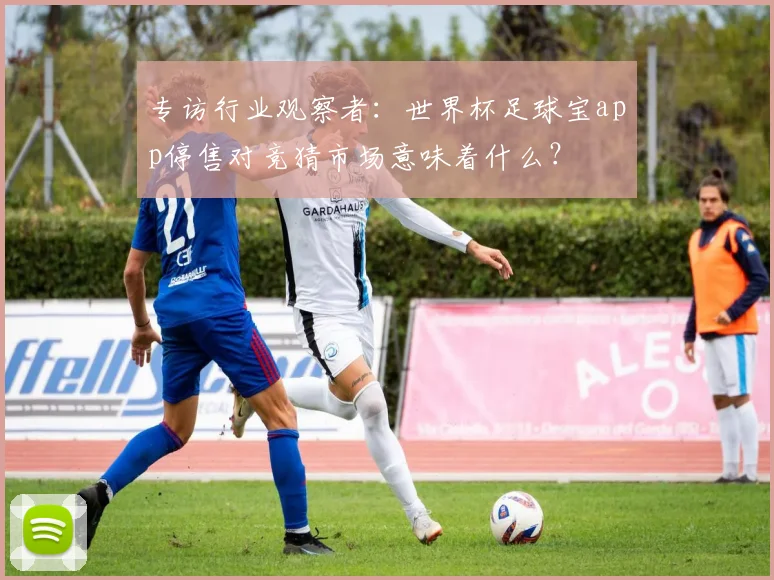 专访行业观察者：世界杯足球宝app停售对竞猜市场意味着什么？