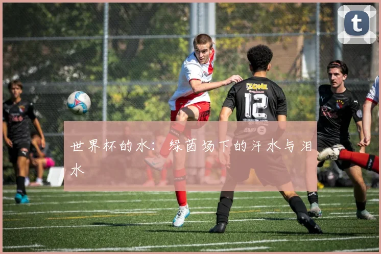 世界杯的水：绿茵场下的汗水与泪水